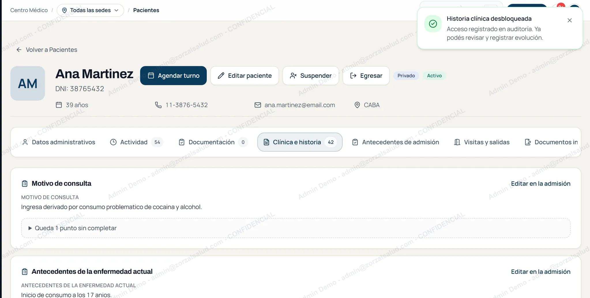 Historia cl&iacute;nica de una paciente con el aviso &laquo;Acceso registrado en auditor&iacute;a&raquo; y una marca de agua con el nombre y el correo de quien la est&aacute; leyendo.